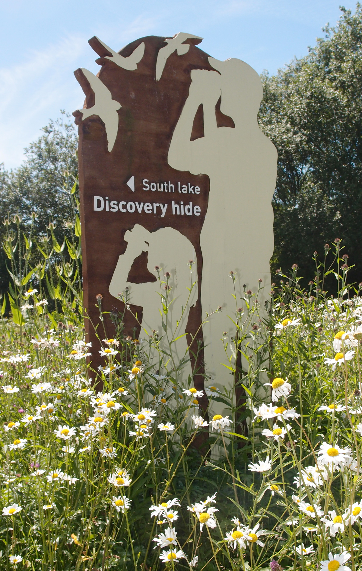 South-lake-discovery-hide